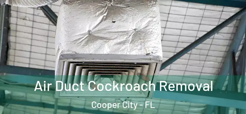 Air Duct Cockroach Removal Cooper City - FL
