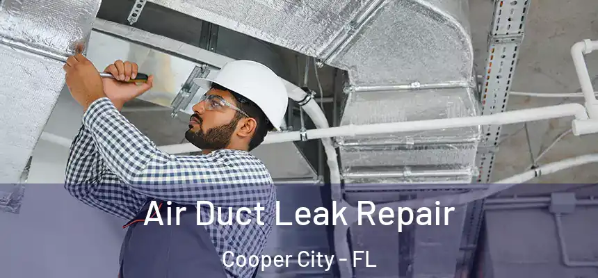 Air Duct Leak Repair Cooper City - FL