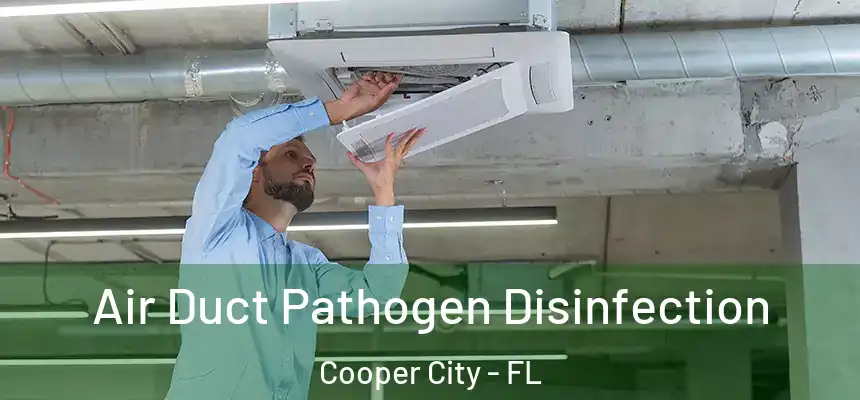 Air Duct Pathogen Disinfection Cooper City - FL