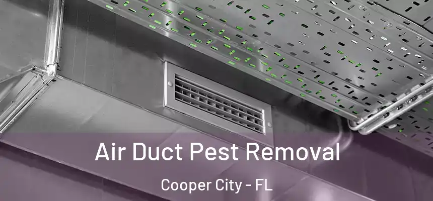 Air Duct Pest Removal Cooper City - FL