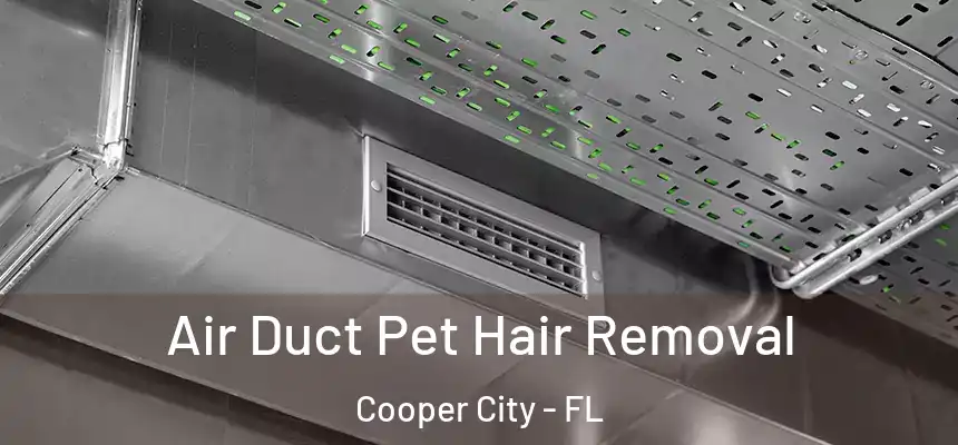 Air Duct Pet Hair Removal Cooper City - FL