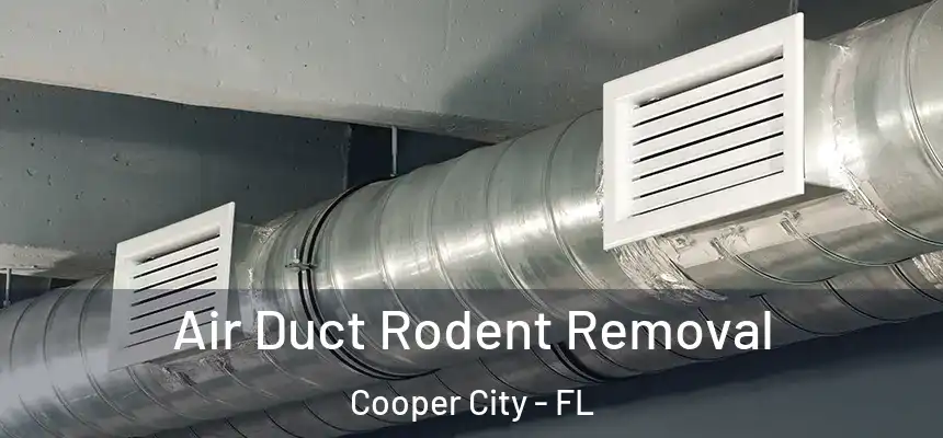 Air Duct Rodent Removal Cooper City - FL