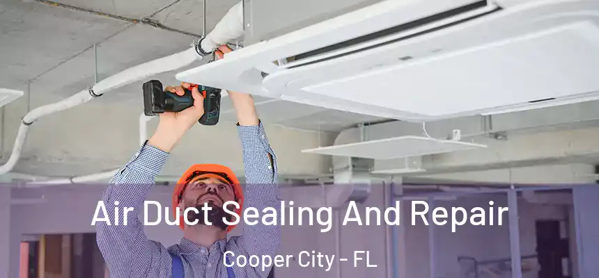 Air Duct Sealing And Repair Cooper City - FL