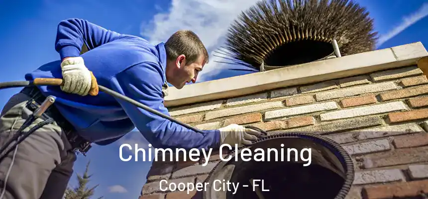Chimney Cleaning Cooper City - FL