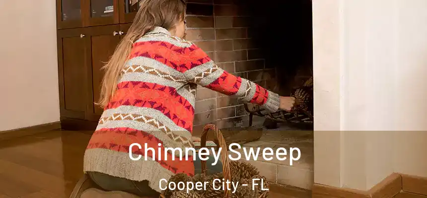 Chimney Sweep Cooper City - FL