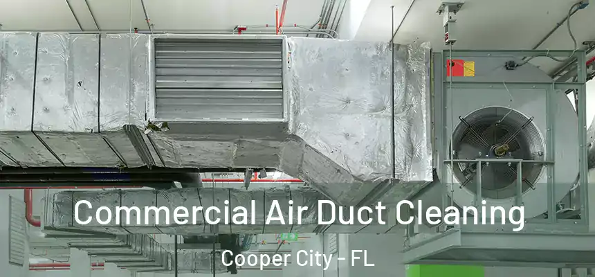 Commercial Air Duct Cleaning Cooper City - FL