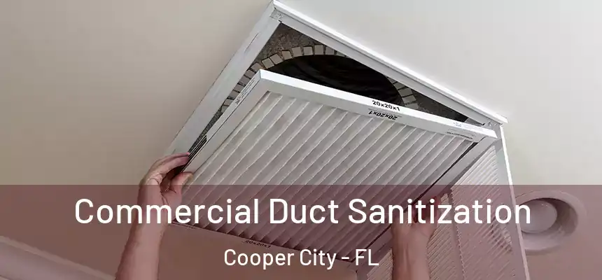 Commercial Duct Sanitization Cooper City - FL