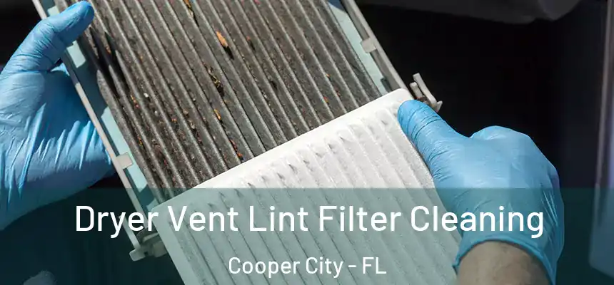  Dryer Vent Lint Filter Cleaning Cooper City - FL