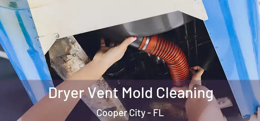 Dryer Vent Mold Cleaning Cooper City - FL