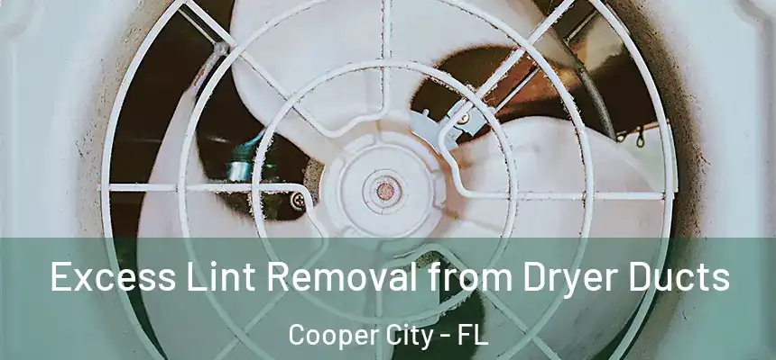 Excess Lint Removal from Dryer Ducts Cooper City - FL