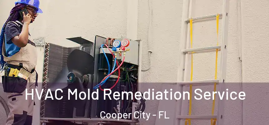 HVAC Mold Remediation Service Cooper City - FL