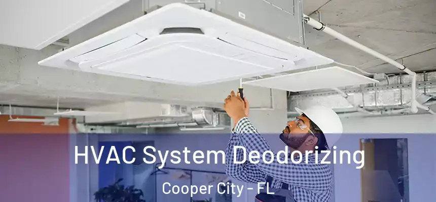  HVAC System Deodorizing Cooper City - FL
