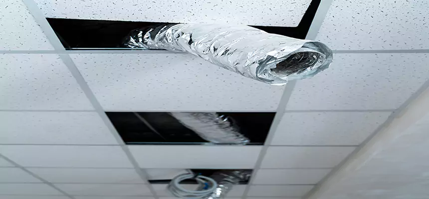 Affordable HVAC Sanitizing After Pest Removal in Cooper City