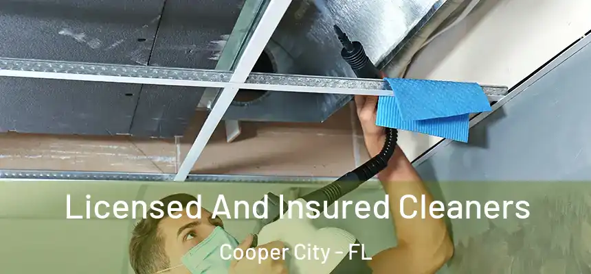 Licensed And Insured Cleaners Cooper City - FL