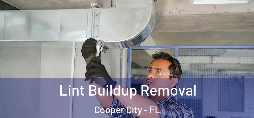  Lint Buildup Removal Cooper City - FL
