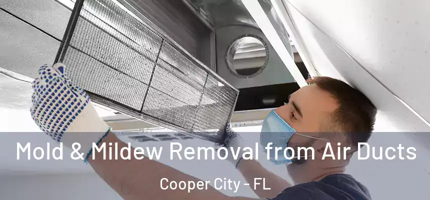 Mold & Mildew Removal from Air Ducts Cooper City - FL