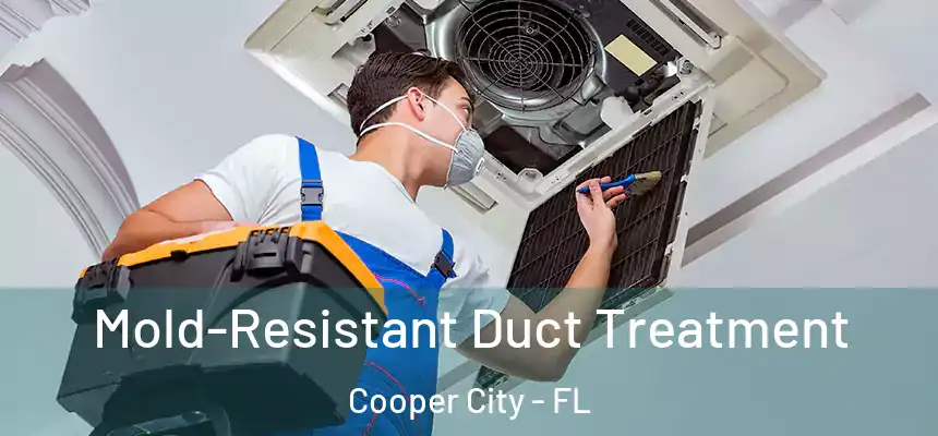 Mold-Resistant Duct Treatment Cooper City - FL