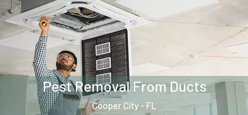 Pest Removal From Ducts Cooper City - FL