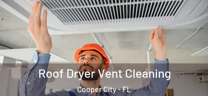 Roof Dryer Vent Cleaning Cooper City - FL
