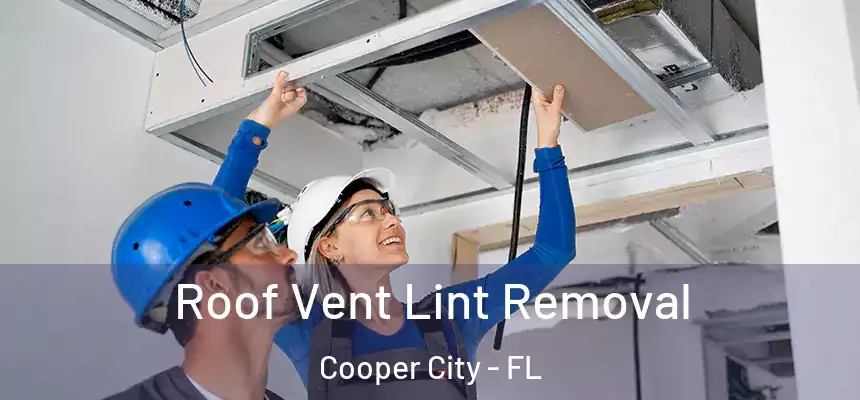 Roof Vent Lint Removal Cooper City - FL