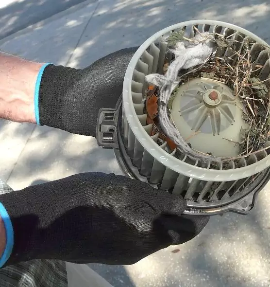 About Air Duct Rat Removal in Cooper City, FL