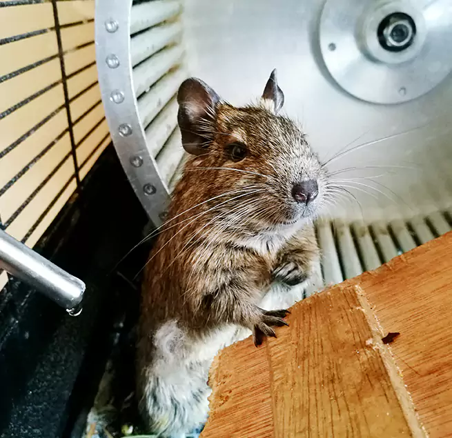 Why Homeowners & Businesses Trust Us Cooper City, FL?