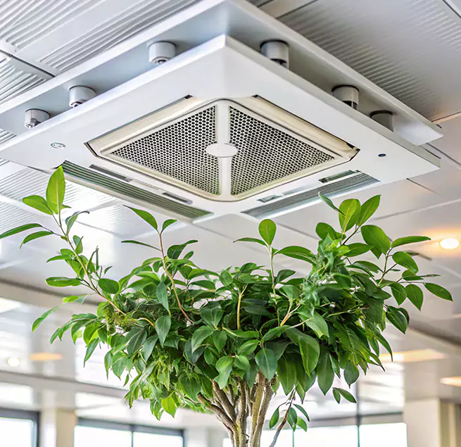 Why Homeowners & Businesses Trust Us in Cooper City, FL