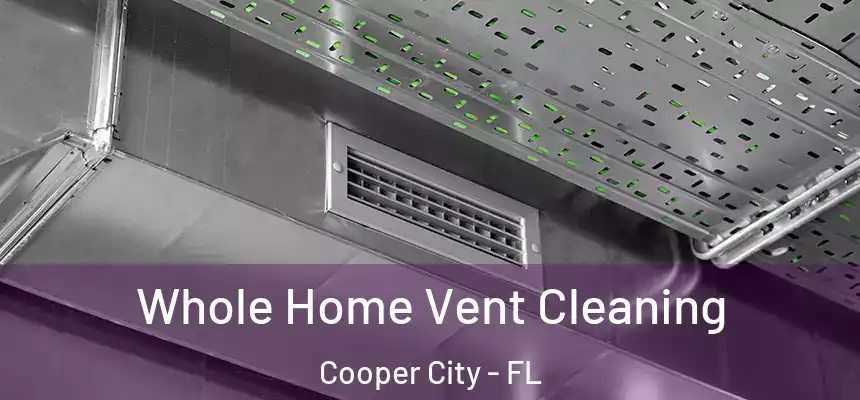 Whole Home Vent Cleaning Cooper City - FL